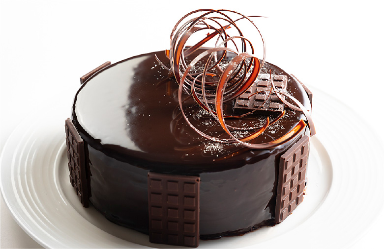 イラスト プリント  チョコレートケーキ 4号 フォトケーキ  メール便無料 写真ケーキ ザッハトルテ