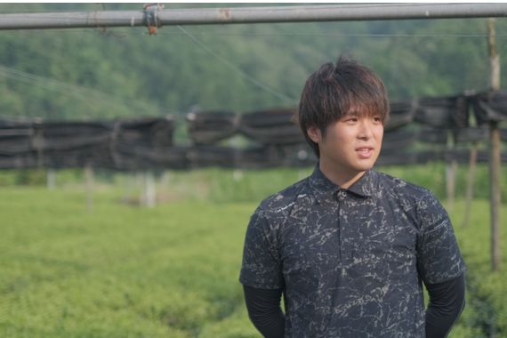舞鶴の茶畑に立つ植和田園の植和田ゆうきさん|茶づくりへの思いを語るインタビュー画像